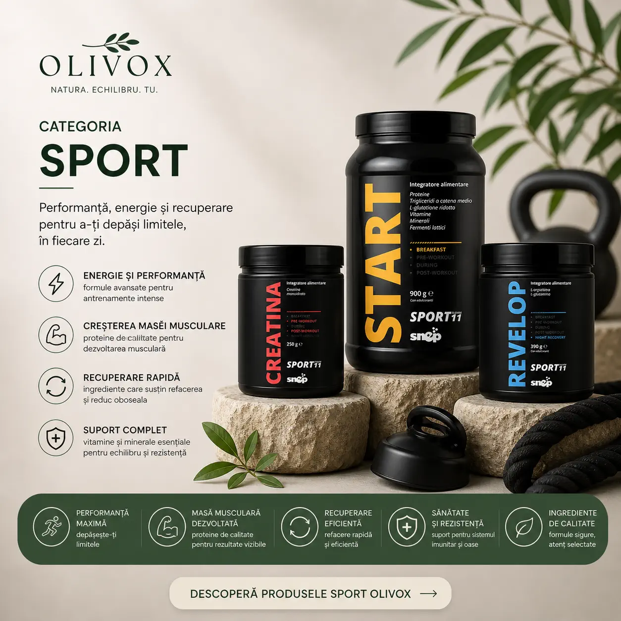 Sport