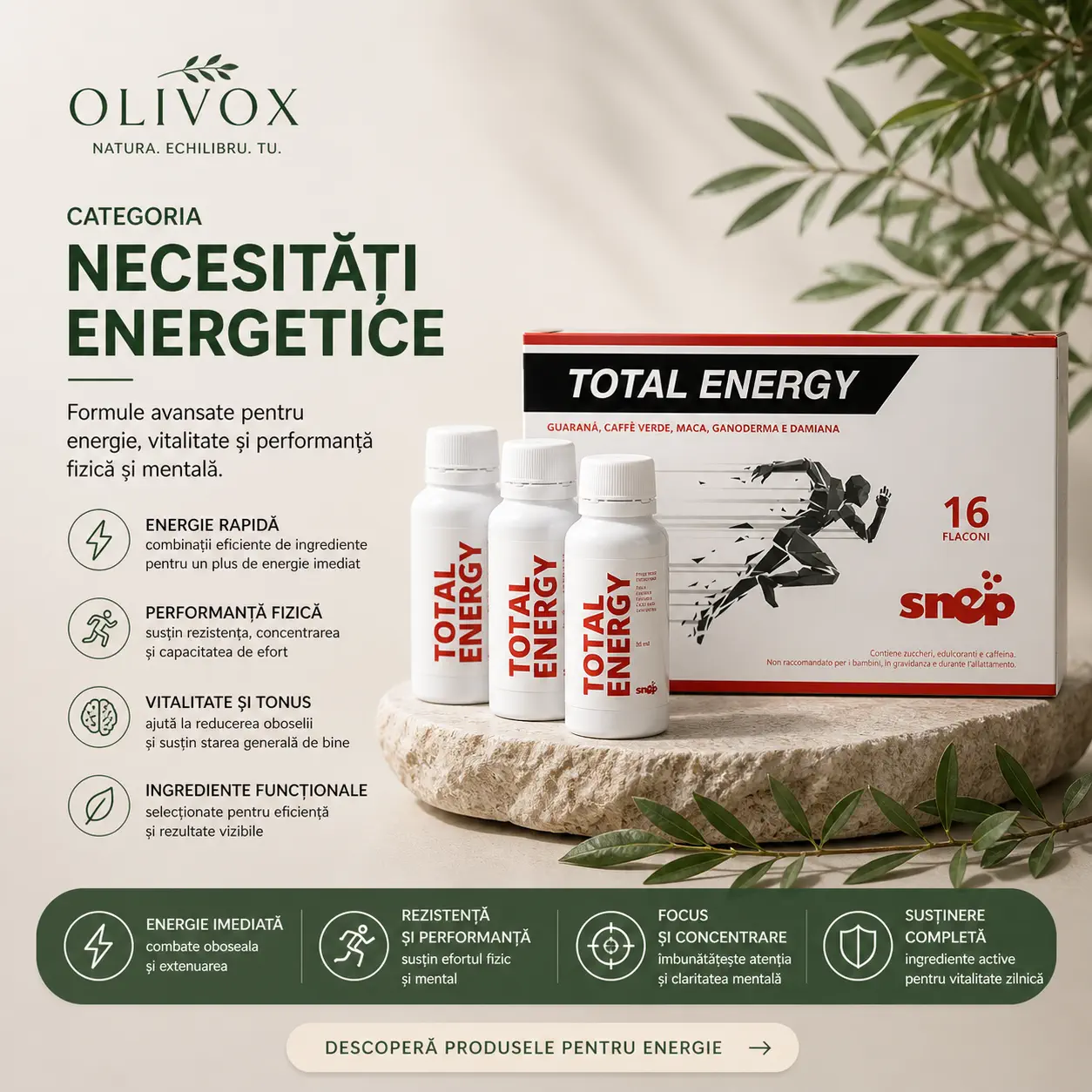 NECESITĂȚILE ENERGETICE