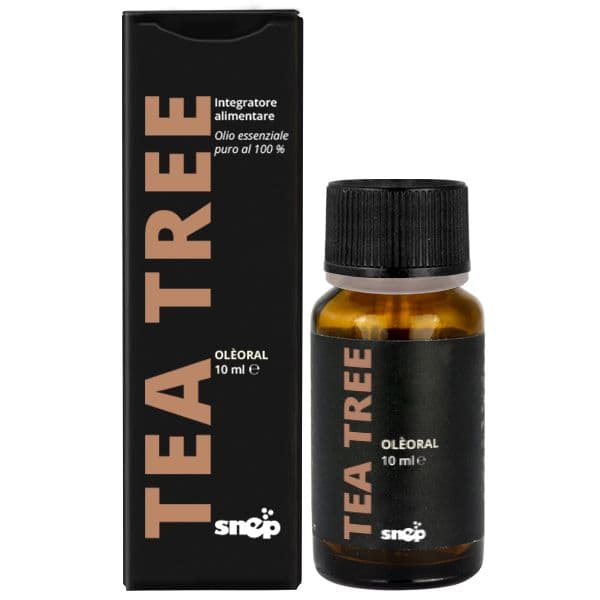 ARBOR DE CEAI - ULEI ESENȚIAL